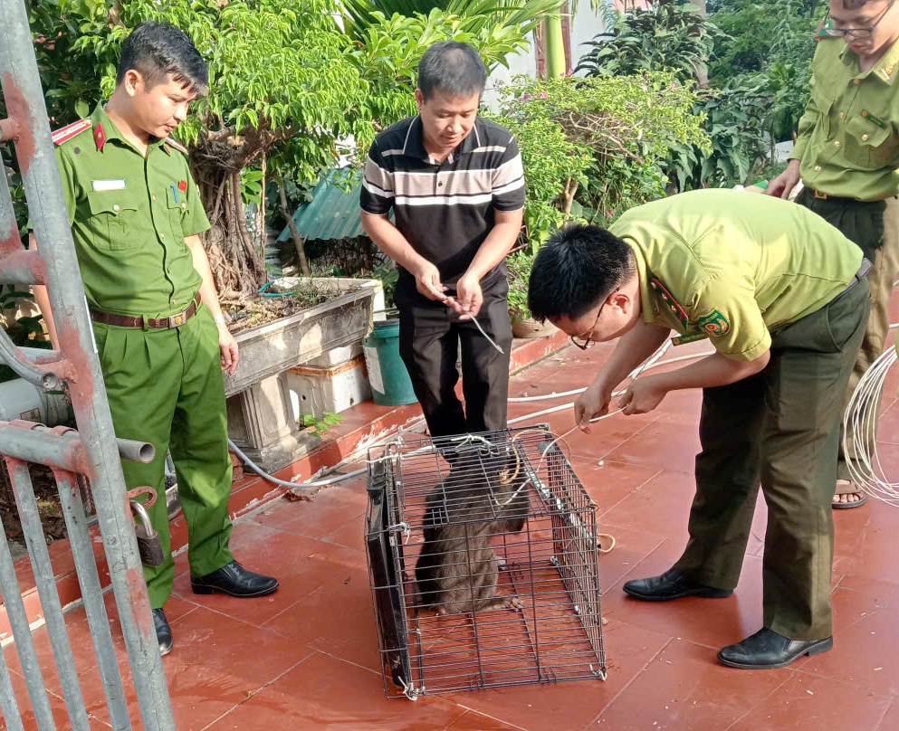 Công an xã Cẩm Giang: Vận động Nhân dân tự nguyện giao nộp 02 cá thể động vật hoang dã
